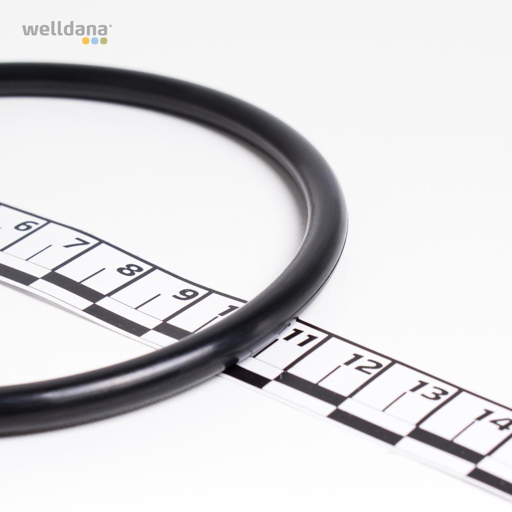 O-ring till Welldana-poollampa – Ø94,1 × 5,7 mm